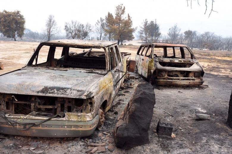 تصاویر | آتشی که به جان مناطق جنگلی کالیفرنیا افتاد
